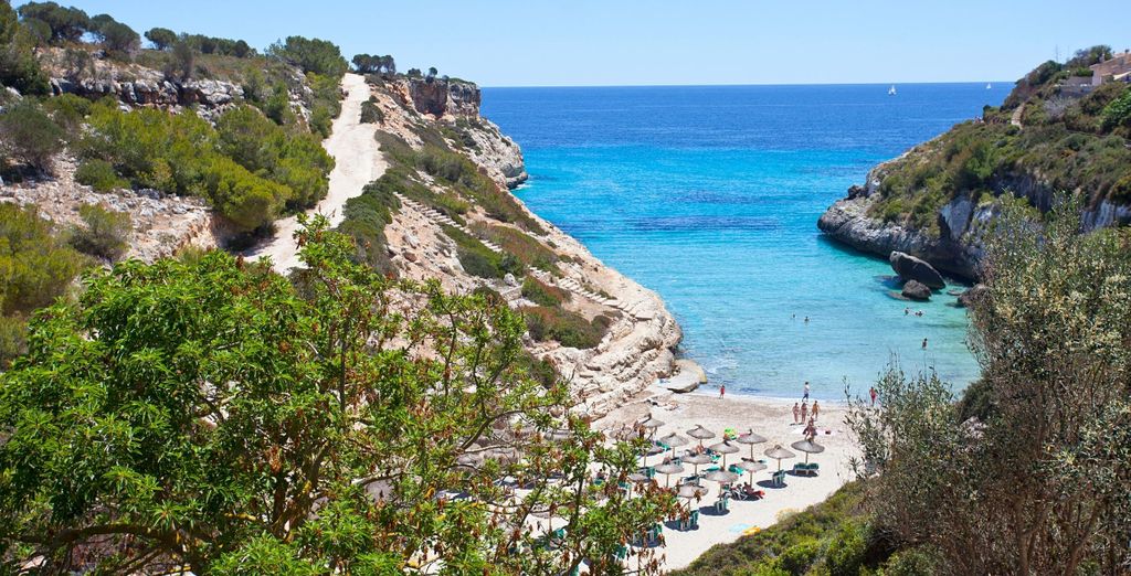 HYB Eurocalas 4*