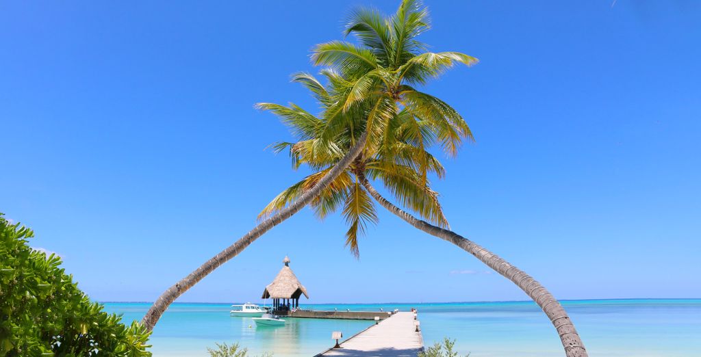 Canareef Resort Maldives 4* 
