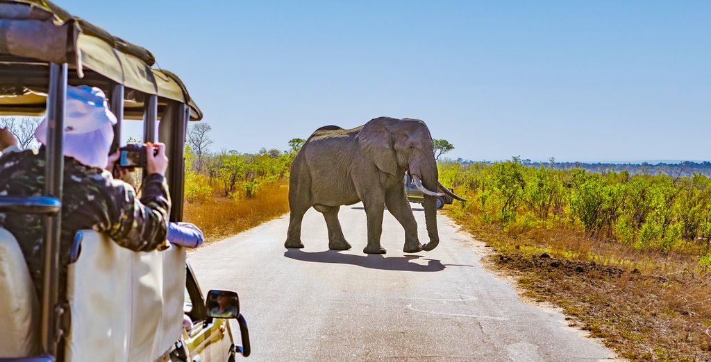 Tour in auto o tour privato: La Namibia da non perdere
