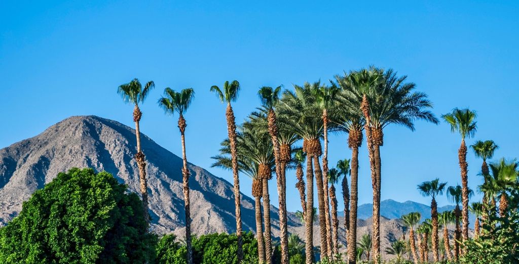 Combinato Margaritaville Resort Palm Springs 4* e Hilton Santa Monica 4*