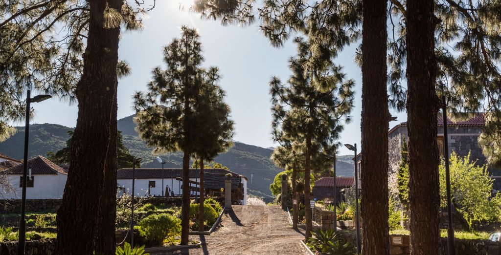 Route Active Hotel con possibile estensione a Santiago del Teide