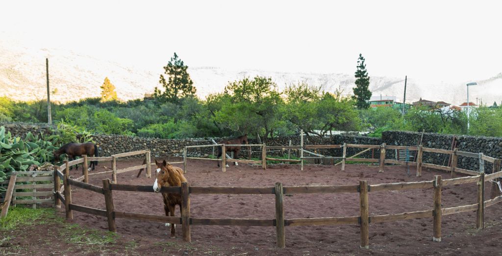 La Casona del Patio 4*