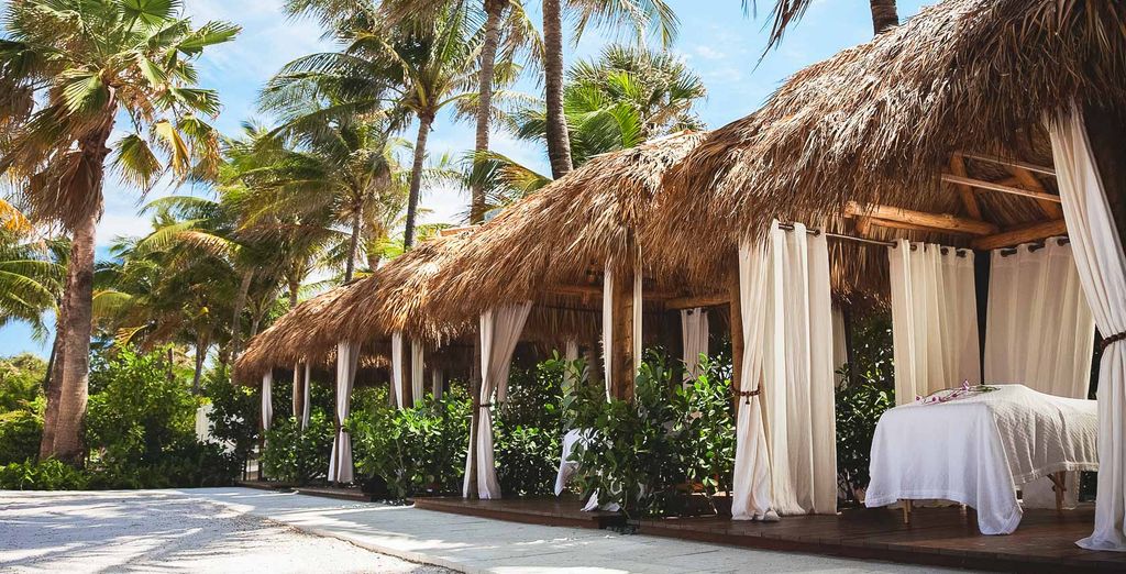 The Palms Hotel & Spa 4* e Viva Wyndham Fortuna Beach 4*