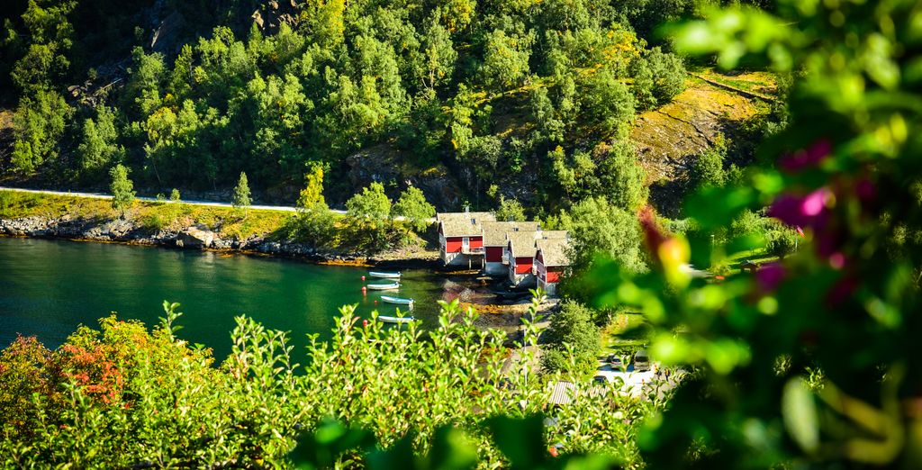 Tour d'estate tra i Fiordi di 5 notti