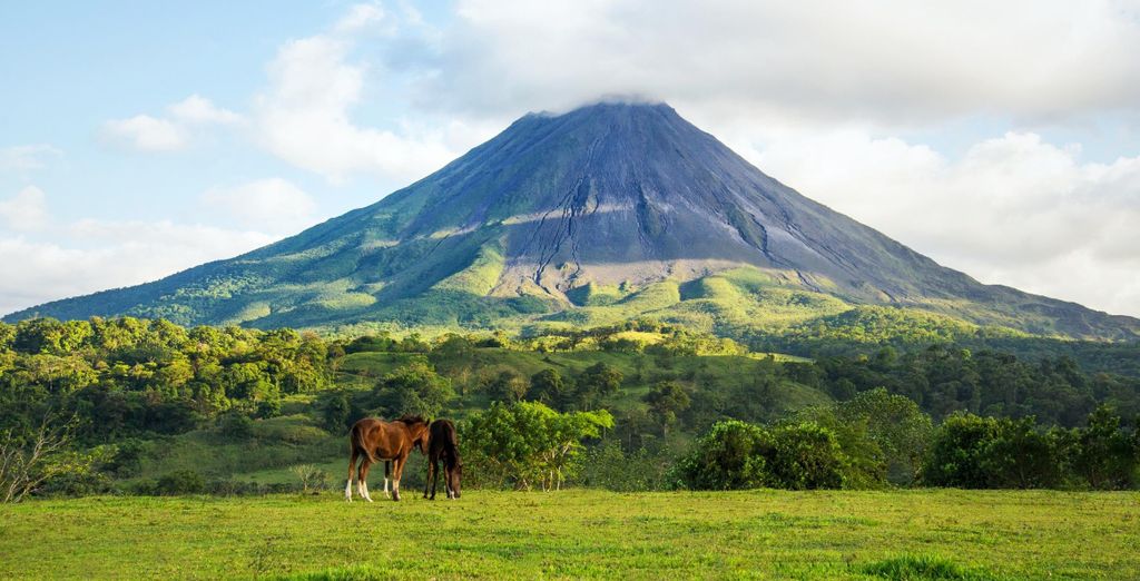 Autotour di 8, 10 o 12 notti tra giungle e spiagge della Costa Rica