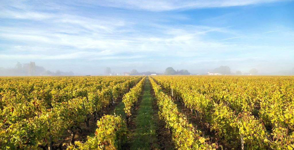 Navidad en los ríos Gironda y Garona