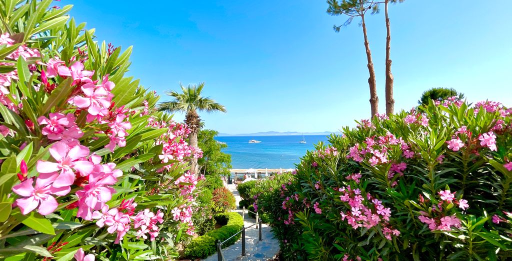Laur Hotels 5*