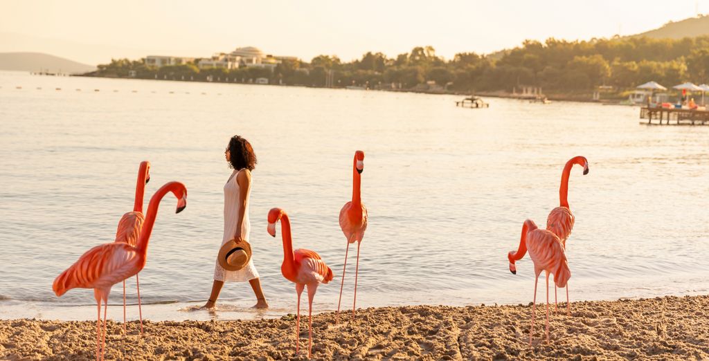 Vogue Hotel Bodrum 5*
