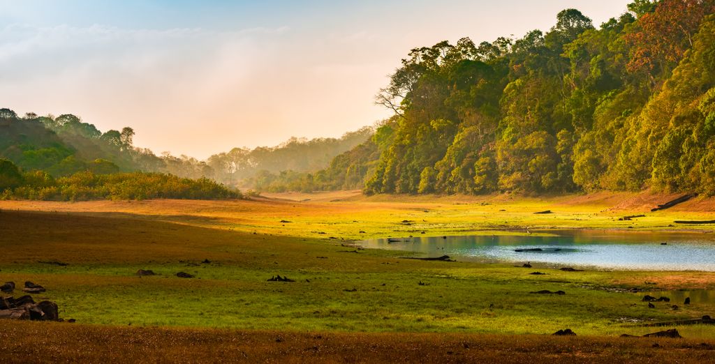 Descubre Kerala en 10 noches con extensión a los templos de Madurai