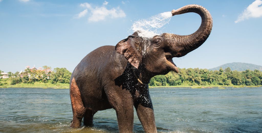 Descubre Kerala en 10 noches con extensión a los templos de Madurai