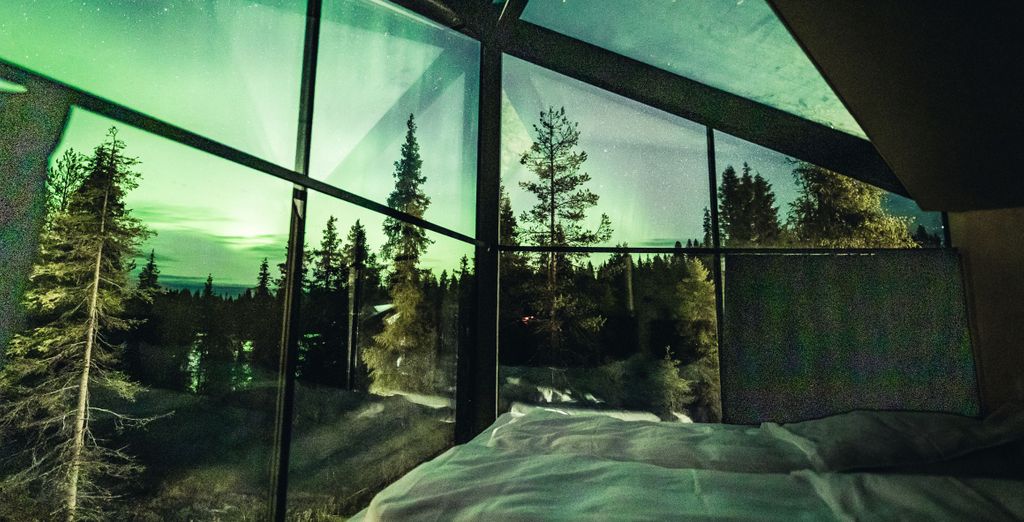Magical Pond Igloos