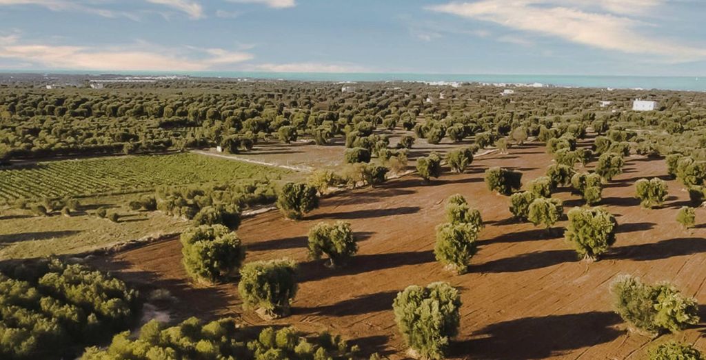 Hotel Mare Nostrum