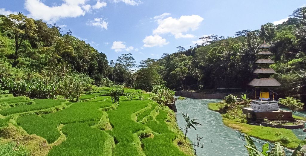 Combinato Jungle Retreat 4* e Kupu Kupu Jimbaran Hotel 5*