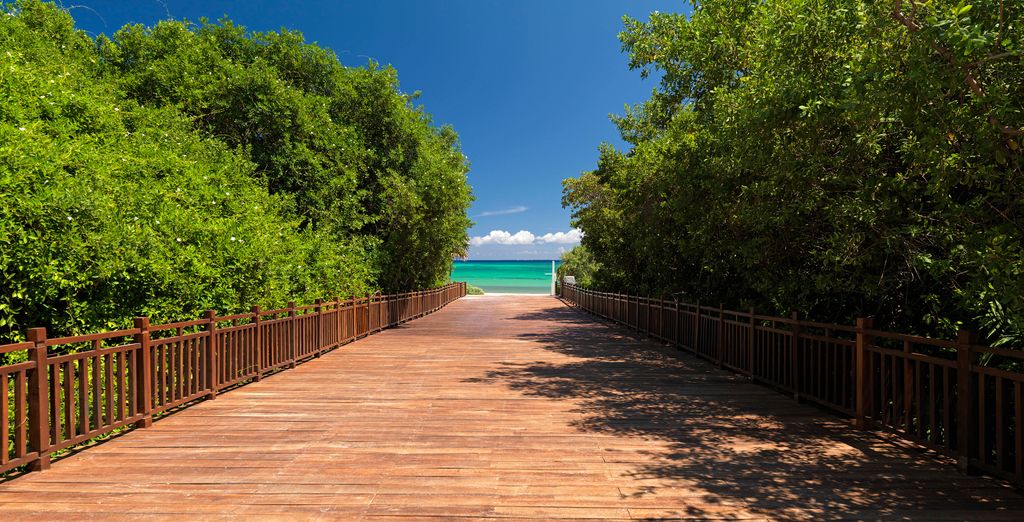 Paradisus Playa Del Carmen La Esmeralda 5*