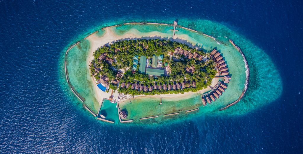 Amaya Kuda Rah 5*
