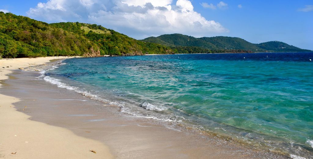 Autotour di 8, 10 o 12 notti tra foresta, spiagge e sorgenti termali