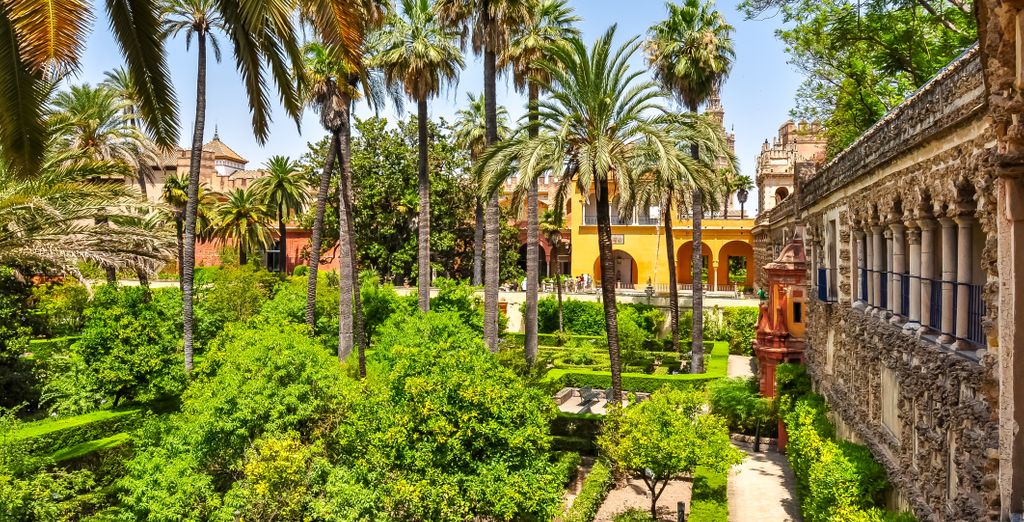 Autotour : Les incontournables d'Andalousie en 5 nuits