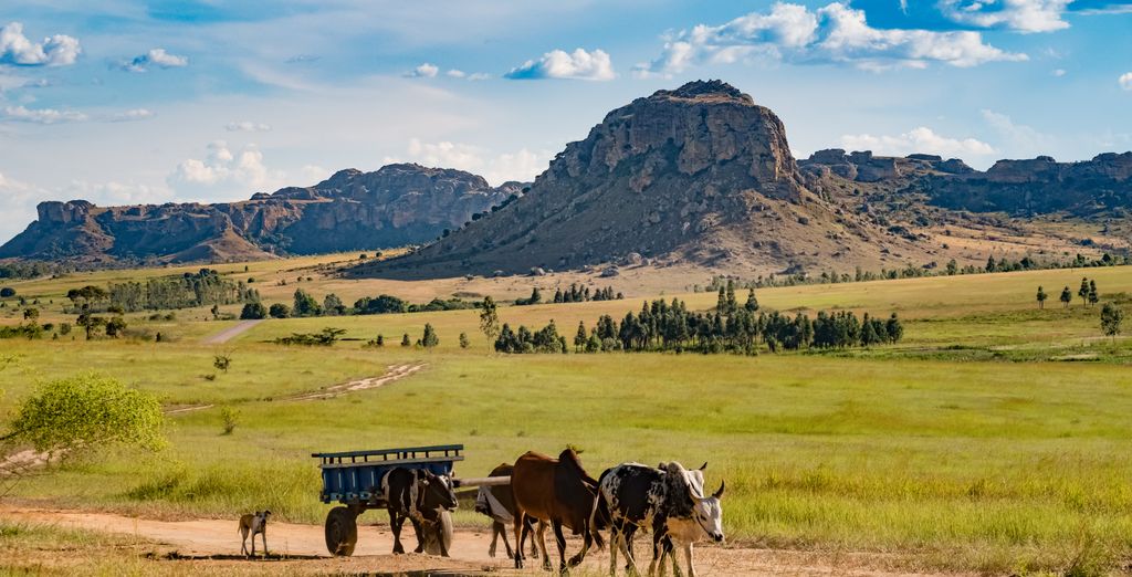 Tour di 9 o 11 notti dal Sud dell'Antananarivo ad Ifafy