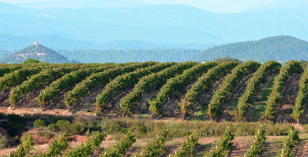 Ultimate Provence 4*