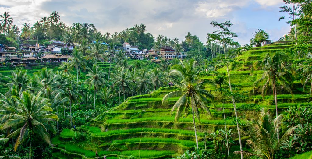 Tour per esplorare Bali di 9 notti con estensione a Nusa Dua