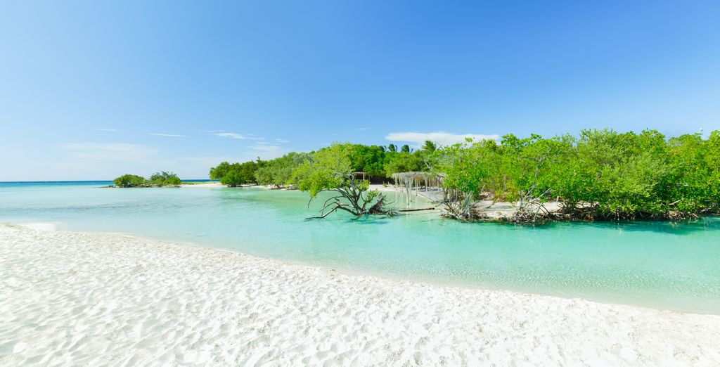 Tour privato: La perla dei Caraibi -  Adults Only