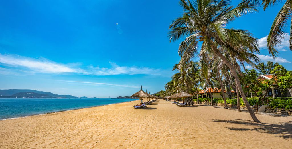 Tour di 7, 11 o 14 notti del Vietnam da non perdere con possibile estensione a Nha Trang