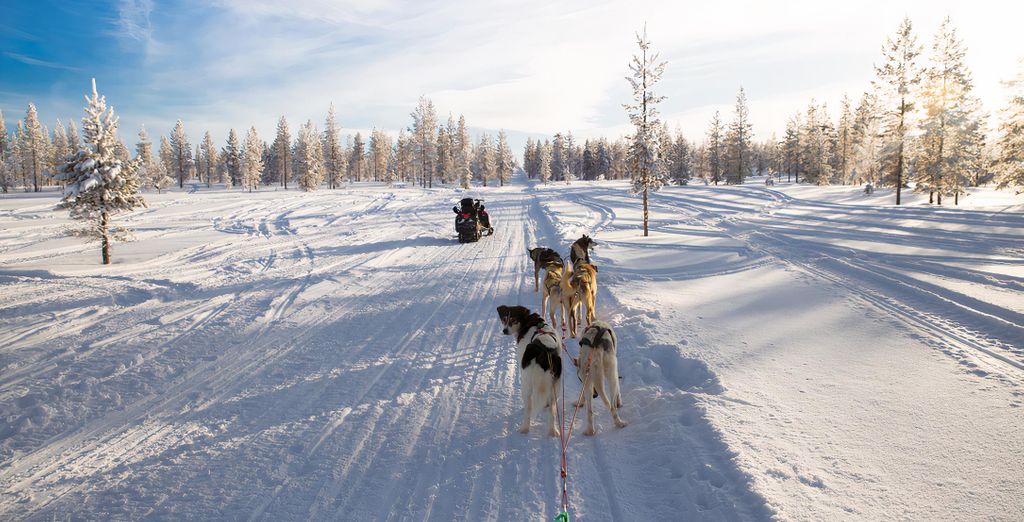 Lapland Hotel Riekonlinna 4* con attività invernali incluse