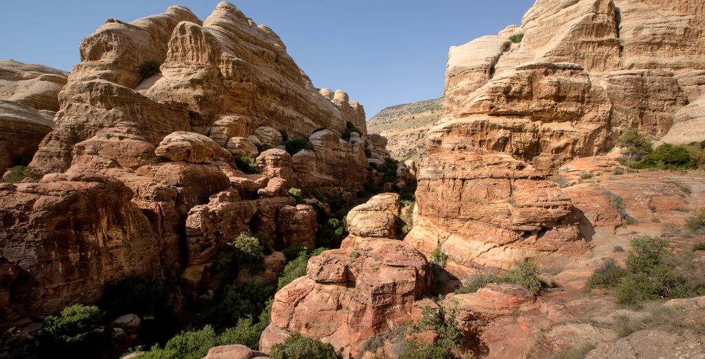 Tour privato di 7 notti tra le perle della Giordania
