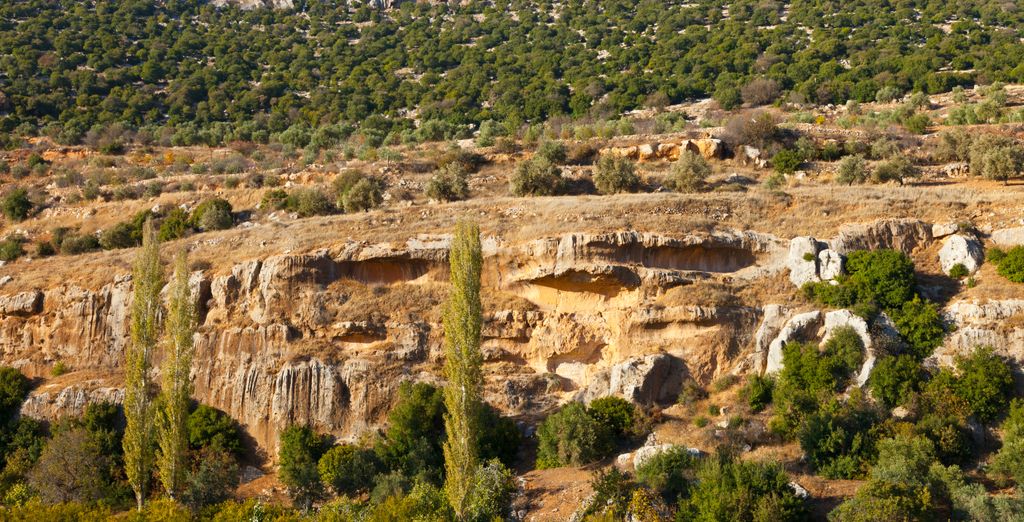 Tour di gruppo tra meravigliose rovine e deserto 