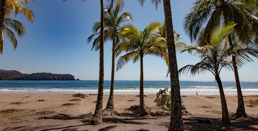 Autotour di 8, 10 o 12 notti tra giungle e spiagge della Costa Rica