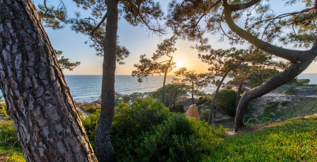 Hotel W Algarve 5*