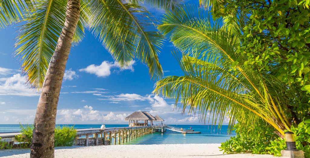 The Palms Hotel & Spa 4* e Viva Wyndham Fortuna Beach 4*