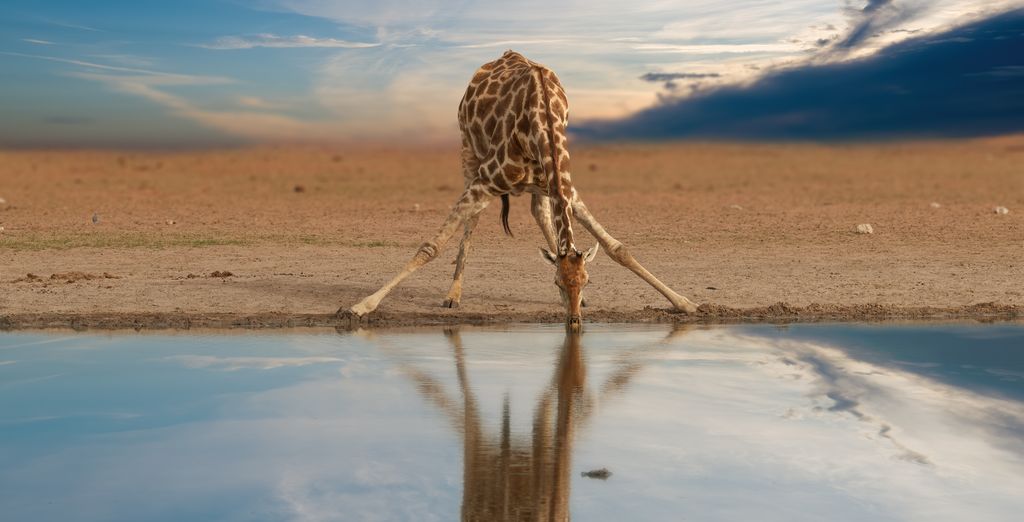 10 días de recorrido a tu aire por Namibia