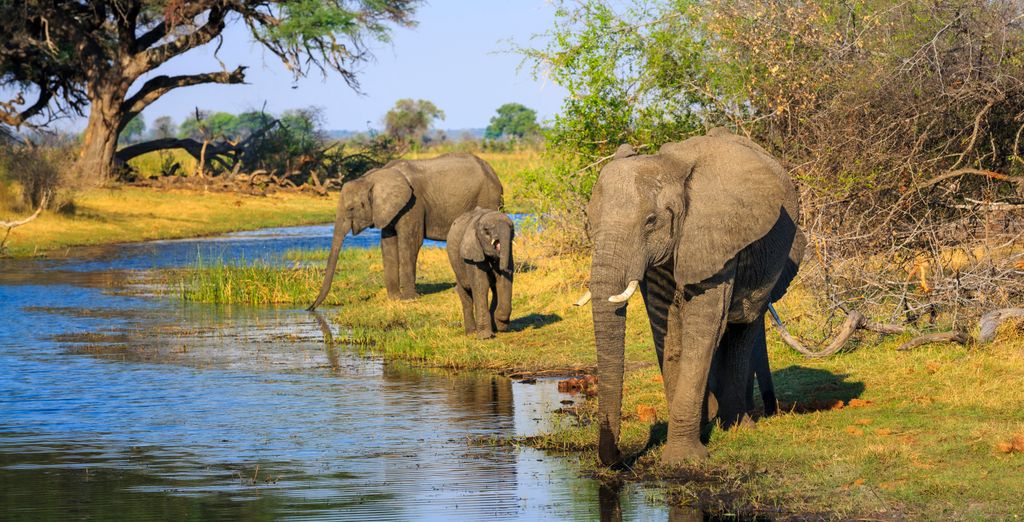 Autotour di 11 notti tra Namibia, Botswana e le Cascate Vittoria