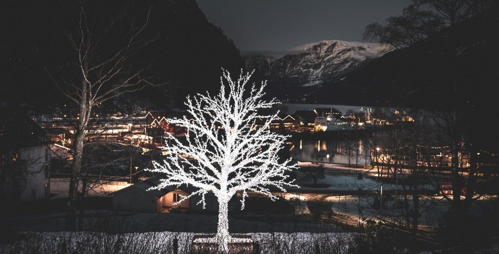 Viaggio in libertà: Tour tra i Fiordi d'inverno