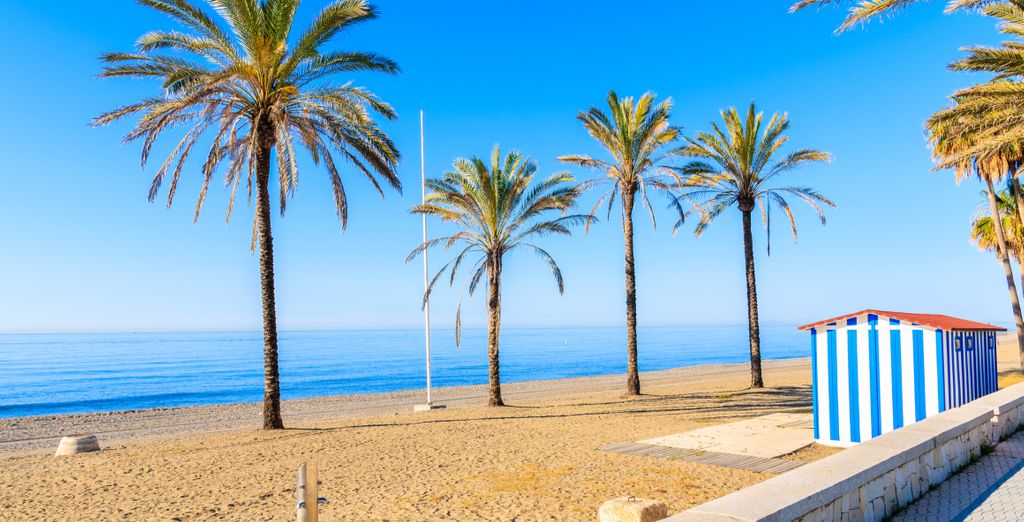 Hotel Riu Costa del Sol 4*