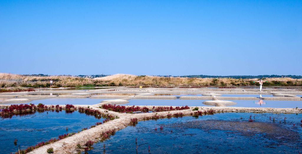 Marais salants de Guérande