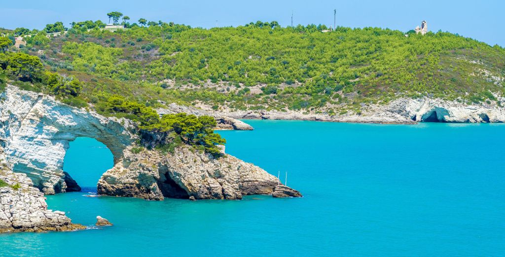 White Hotel and Resort 4*