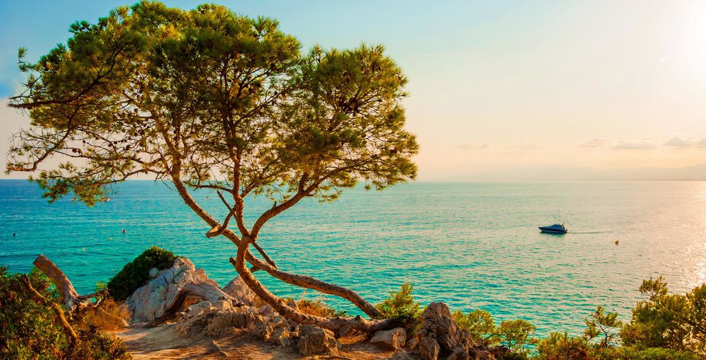 Luna Club Hotel Yoga & Spa 4* S