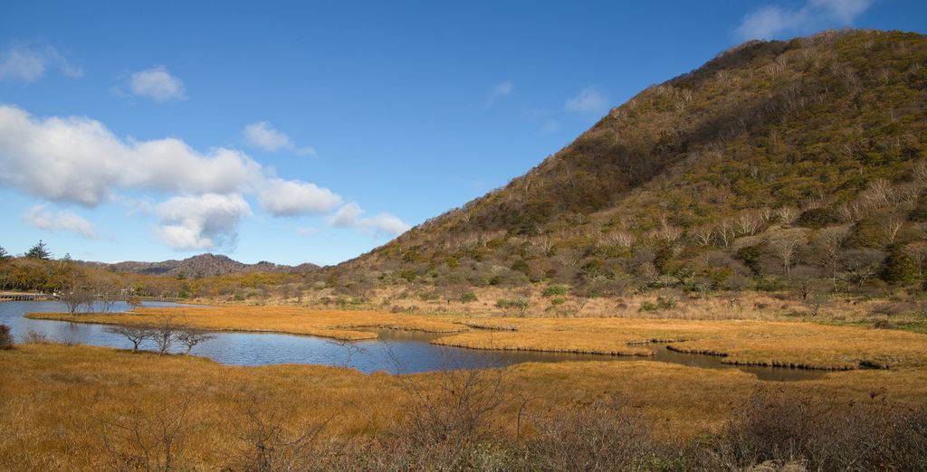 Tour di 8 notti alla scoperta del Ruanda 