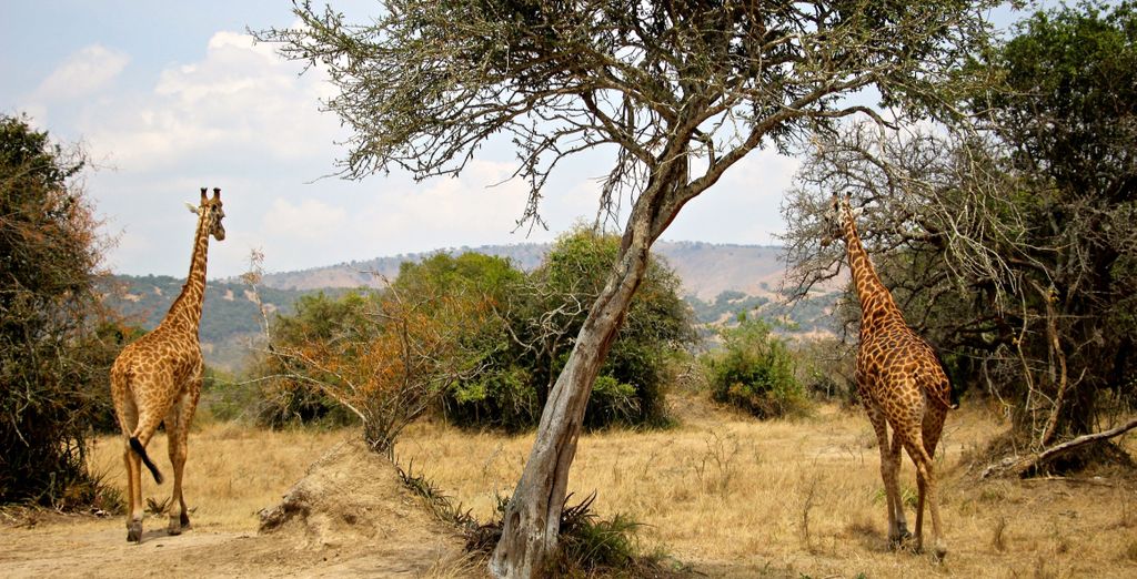Safari : À la découverte du Rwanda en 8 nuits - Rwanda - Jusqu’à -70 % | Voyage Privé&nbsp;