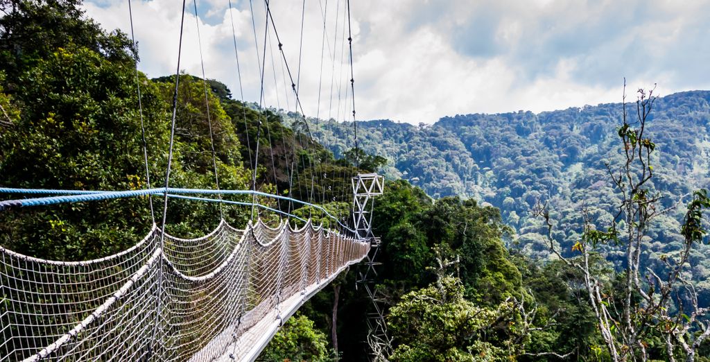 Safari : À la découverte du Rwanda en 8 nuits - Rwanda - Jusqu’à -70 % | Voyage Privé&nbsp;