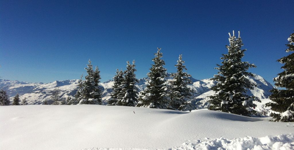 Lodge des Glaciers 