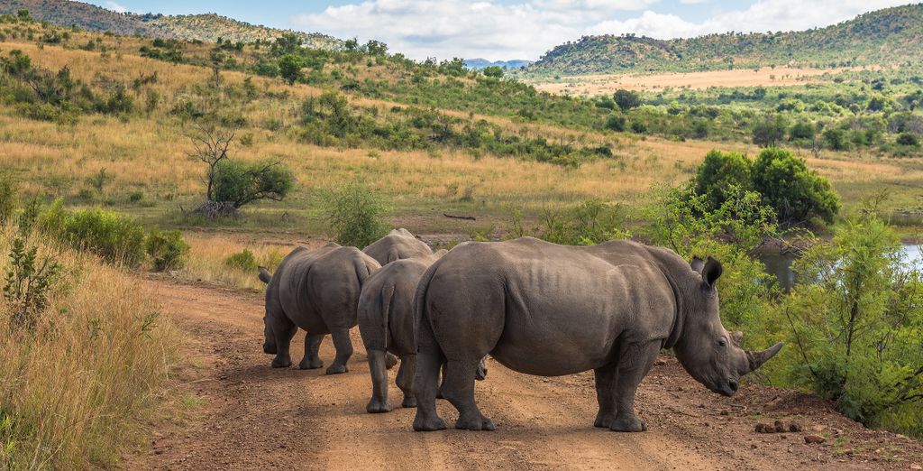 Autotour di 7, 8, 9 o 10 notti del Sudafrica fuori dai sentieri battuti