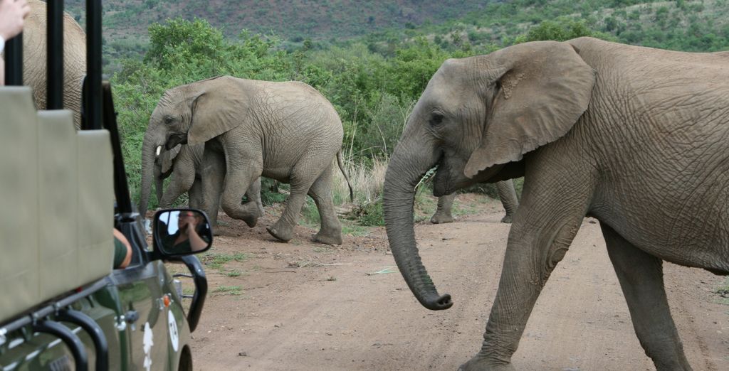 Autotour di 7, 8, 9 o 10 notti del Sudafrica fuori dai sentieri battuti