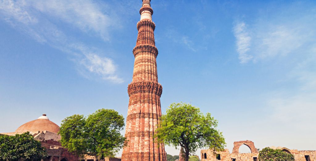 Tour privato: Nel Rajasthan tra tigri e il Taj Mahal