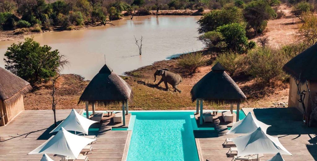 Safari di 7 o 9 notti al Kapama River Lodge 5* e Anantara Iko Mauritius 5*
