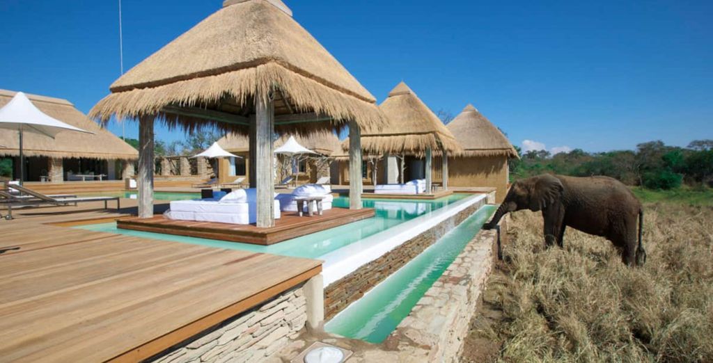 Safari di 7 o 9 notti al Kapama River Lodge 5* e Anantara Iko Mauritius 5*
