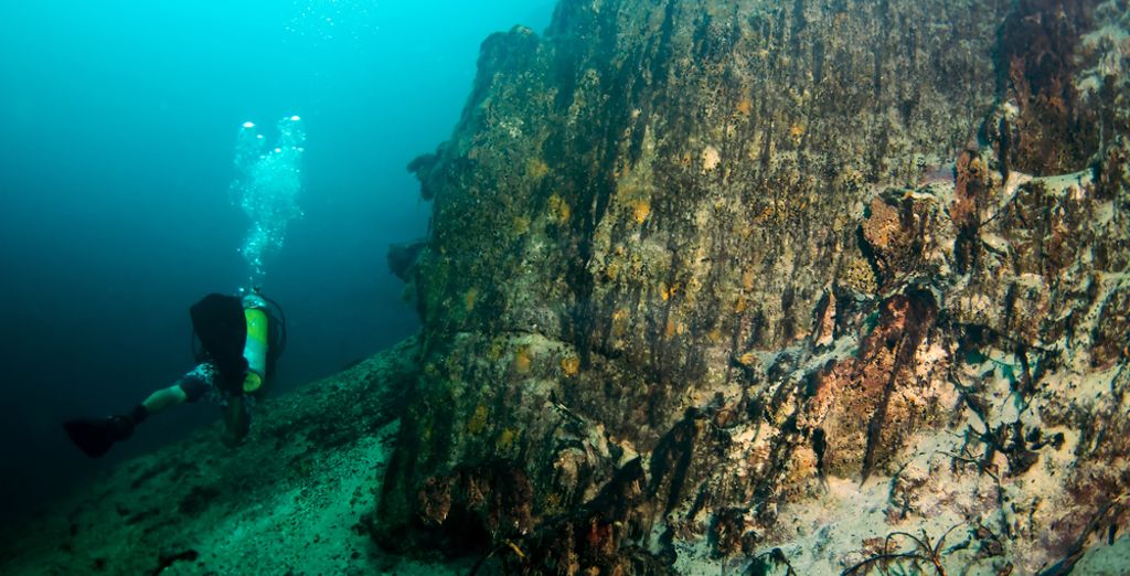 Tour privato di 9, 11 o 13 notti alla scoperta delle Visayas