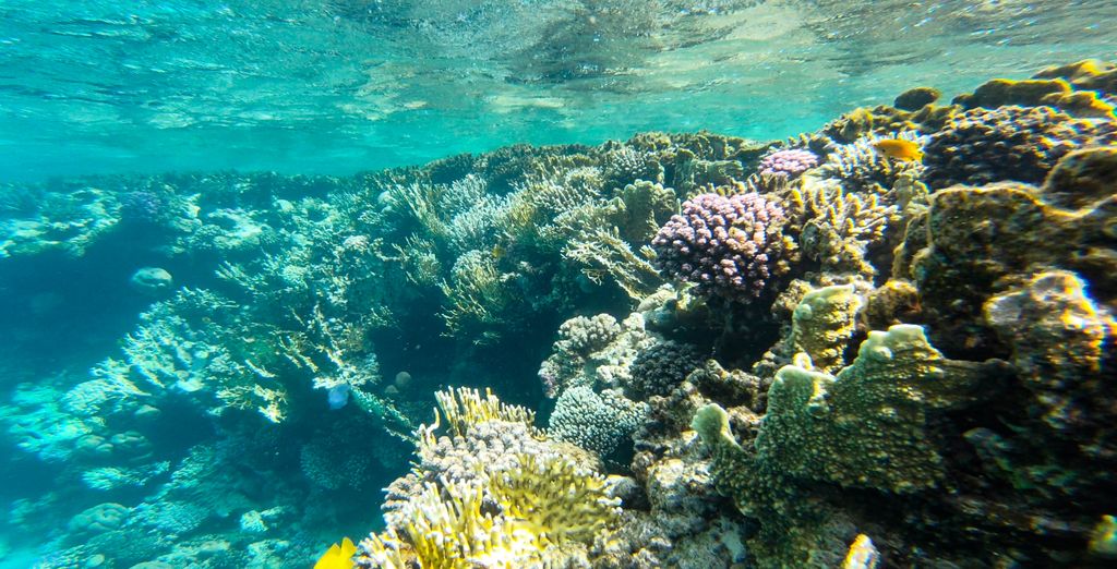 Soggiorno multi-attività: Dalle Piramidi al Mar Rosso